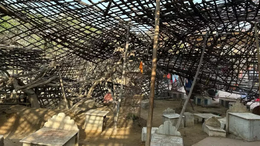 Nidhivan Vrindavan (5)