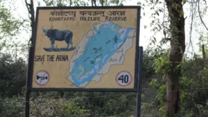 Koshi Tappu Wildlife Reserve