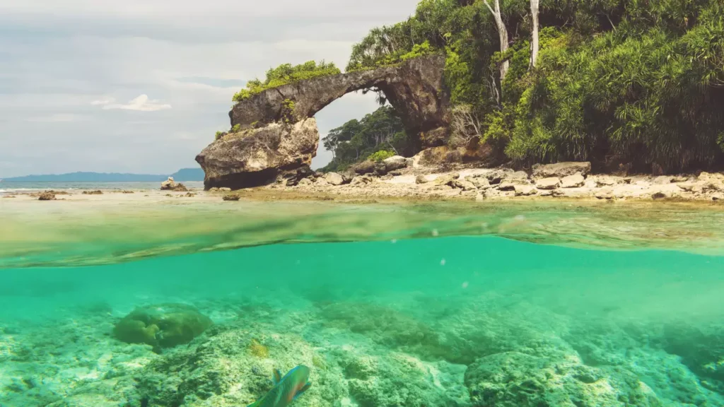 Photo of Natural bridge at Neil island, Andaman