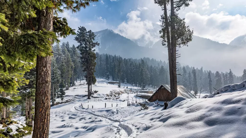 Photo of Snowcapped Pahalgam valley