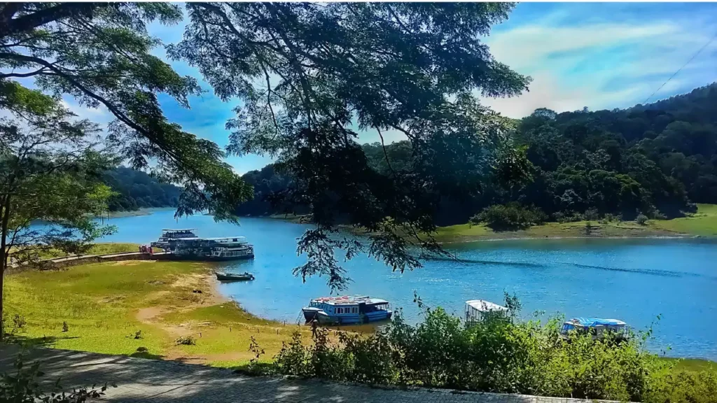 Photo of Boat safari in Thekkady