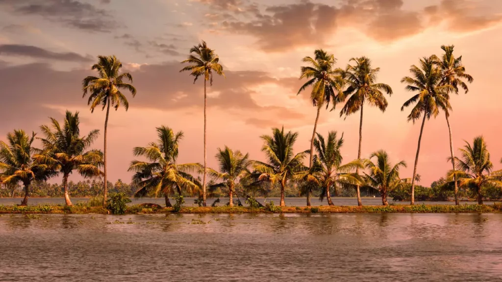Photo of sunset at Alleppey