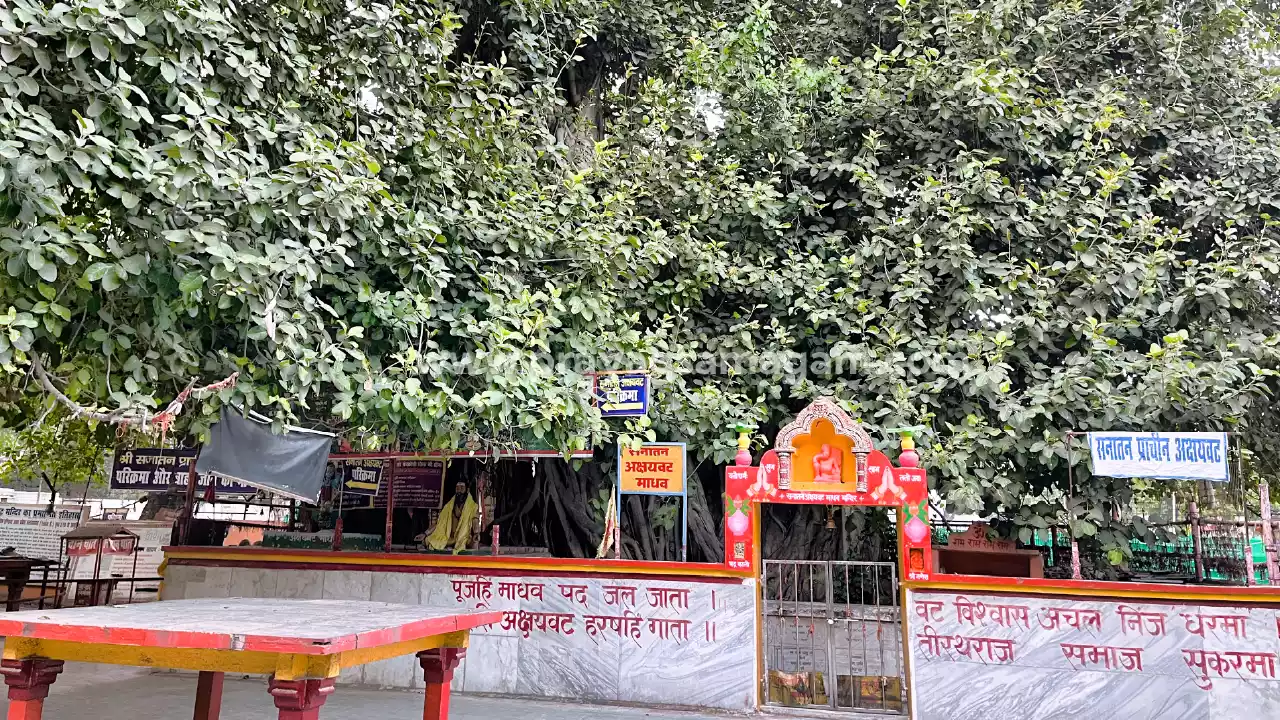 Akshaywat Tree in Prayagraj