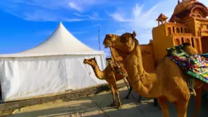 Image of Camel and tent- Rann Utsav Trip 2025-26