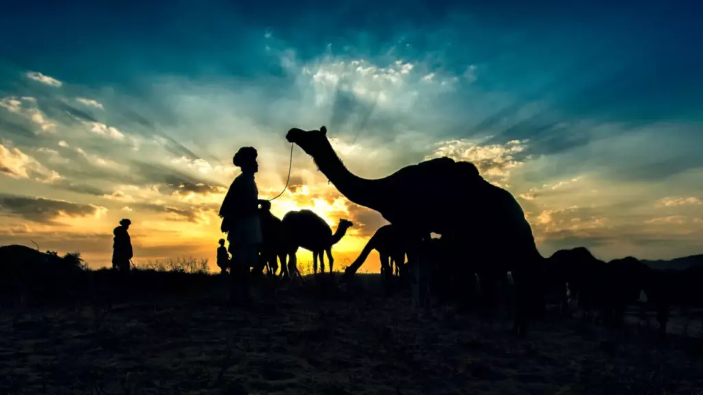 From Delhi to Jaipur: An NRI's Journey