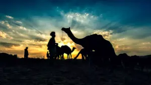 From Delhi to Jaipur: An NRI's Journey