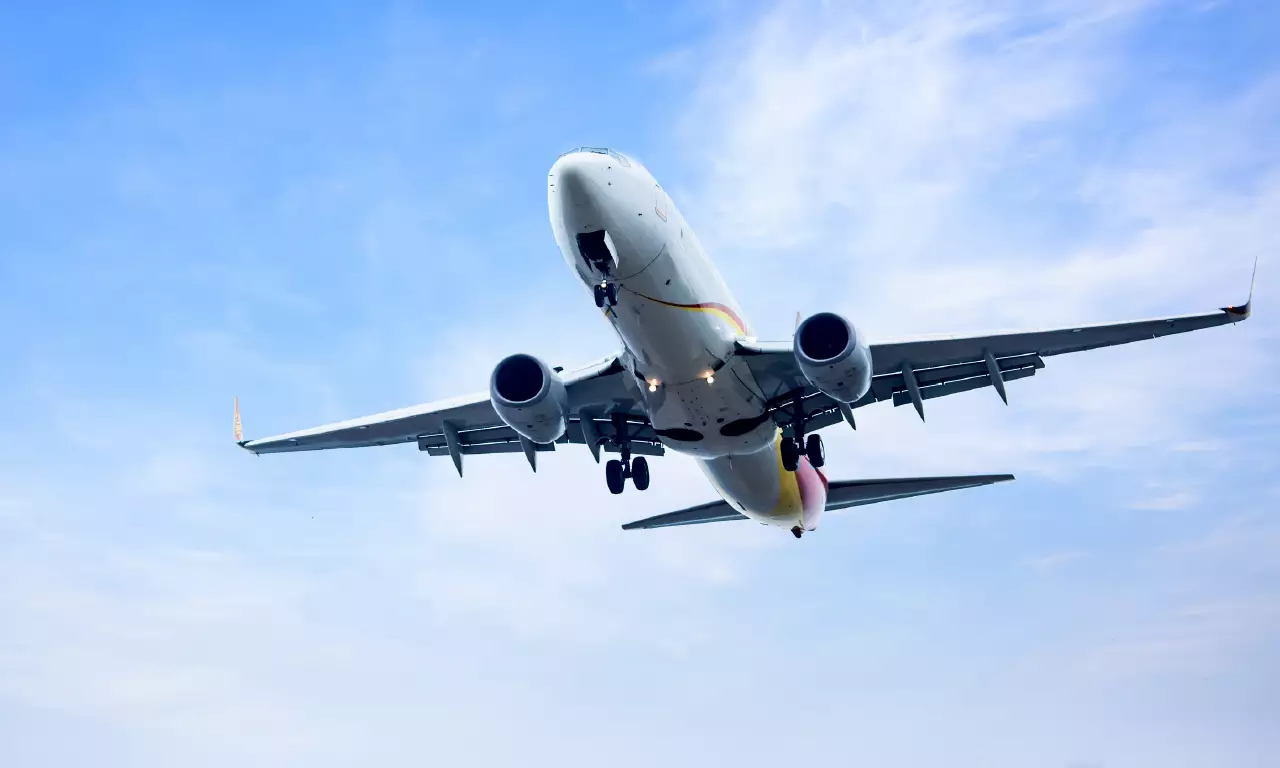 From Delhi to Jaipur: An NRI's Journey